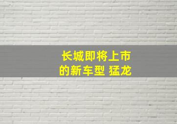 长城即将上市的新车型 猛龙